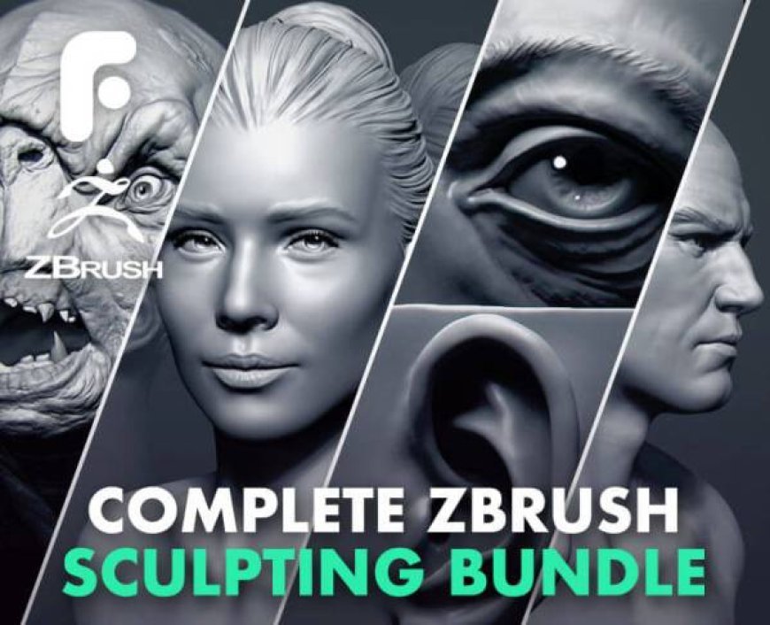 ZBrush Face Sculpting Bundles