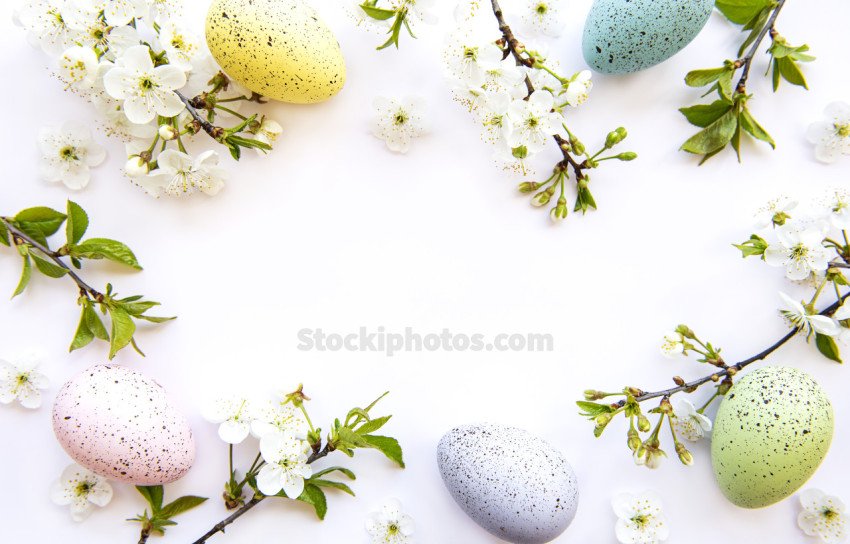 Colorful Easter eggs with spring blossom flowers