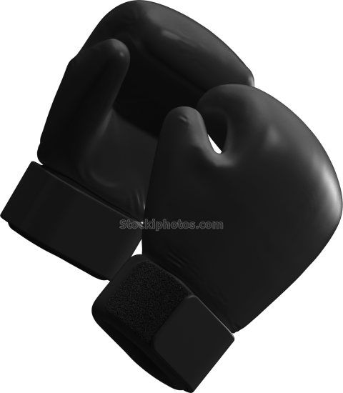 Boxing Gloves Dark