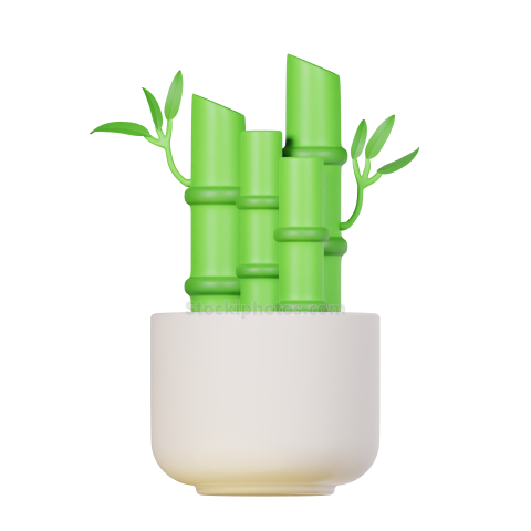 3d Icon Plant Illustration Lucky Bamboo Plant