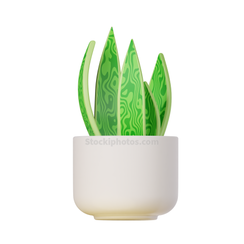 3d Icon Plant Illustration Snake Plant