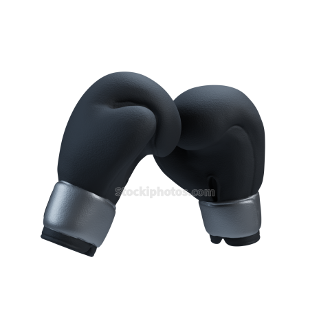 boxing gloves 1