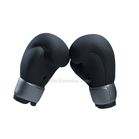 boxing gloves 2