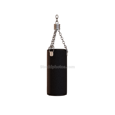 fitness and gym icon 3d illustration Jump bag