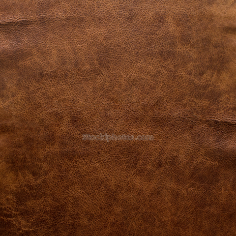 Glossy Polished Leather Texture Background (6)