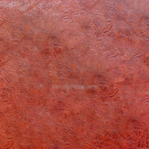 Natural Skin Polished Leather Textured Background (5)